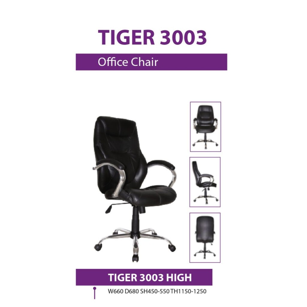 Kursi Kantor ERGOSIT 3003 HIGH