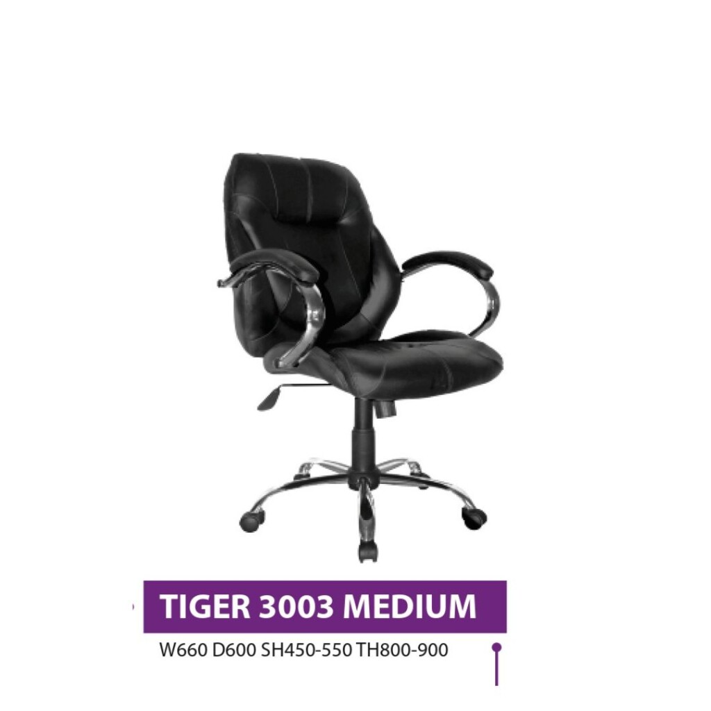 Kursi Kantor ERGOSIT 3003 MEDIUM